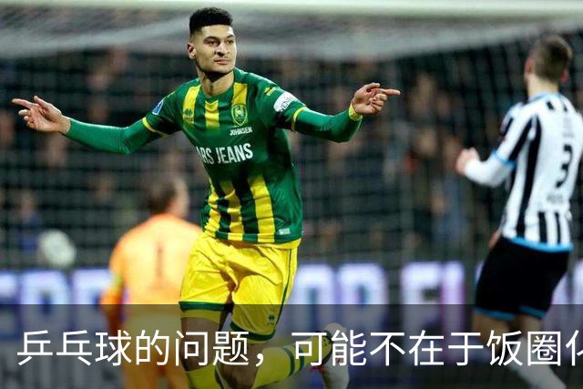 乒乓球的问题，可能不在于饭圈化