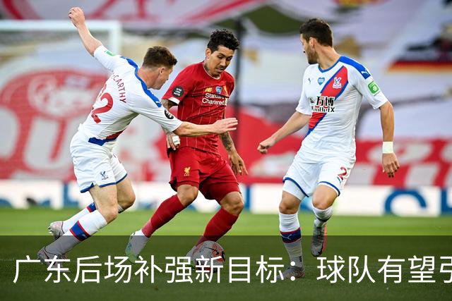 广东后场补强新目标：球队有望引进国手级后卫，外界评价其为加强版徐杰